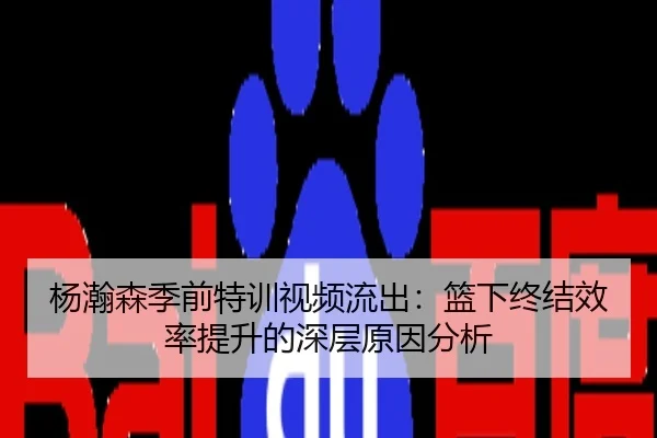 杨瀚森季前特训视频流出：篮下终结效率提升的深层原因分析